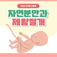 자연분만 제왕절개 고민 차이점 장단점 회복 통증 비용 추천