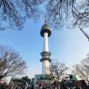 서울 나들이 데이트 코스 남산 타워 전망대 케이블카 순환버스 돈가스 명동 당일 여행