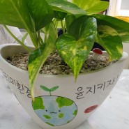 창원 지구의날 환경체험 탄소중립체험 초등학교 식물원예수업