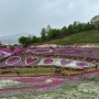 산청 가볼만한곳 생초국제조각공원 꽃잔디 축제