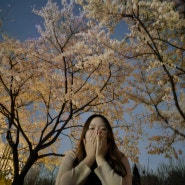 잠실 벚꽃 보다 서울숲 벚꽃이 사진찍기에 좋았다! 친구들과 서울 나들이