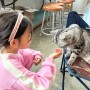 (모할고양) 관저동 아이랑 고양이카페 다녀왔어요🖤