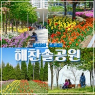 송도 튤립축제 인천 해찬솔공원 나들이