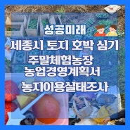 [세종시 토지 호박심기] 주말체험농장 & 농업경영계획서 & 농지이용실태조사