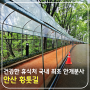 건강한 휴식처 서대문 안산 황톳길 전국 최초 안개분사 시설 설치 겨울에도 이용 가능