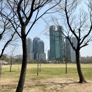 서울 아이와 놀기 좋은 보라매공원 공원 산책 주말 나들이 주차 피크닉