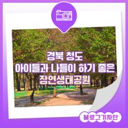 경북 청도 아이들과 나들이 하기 좋은 장연생태공원 [SNS 홍보단]