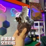 서울대입구역 고양이카페가 떳다.? | 오프타임