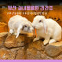 부산동물원 아이와 실내 가볼만한 곳 라라쥬 동물원
