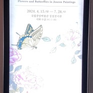 [국립중앙박물관] 옛 그림 속 꽃과 나비