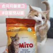 [미토 고양이사료] 바른생활펫의 안전한 사료 추천 :: 볼드모드 사료 피하기