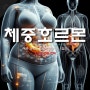 비만과 호르몬 : 체중 감량을 위한 호르몬 조절 전략