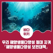 우리 해양생물다양성 절대 지켜! 「해양생물다양성 보전대책」 발표!