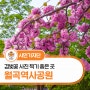월곡역사공원 겹벚꽃 봄 사진 남기기!
