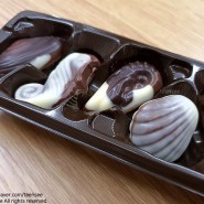 벨지안 시셀 초콜릿