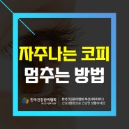 코피가 자주 나요! 멈추는 방법은?