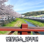 광주 4월 가볼만한 벚꽃 명소 추천하는 일본 갬성 울림동 벚꽃