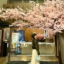 분위기 좋은 광안리 술집 비쇼쿠 맛있는 세트 일본 감성 야끼니꾸 맛집 부산 실내 데이트 가볼만한곳 추천