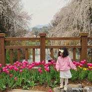 서울랜드 벚꽃명소 가족나들이 추천, 브루미즈 동산 꿀팁
