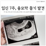 임신 7주 1일 / 심장소리 듣기, 아기집 안에 융모막 폭탄, 돌기(Chorionic bump) 발견