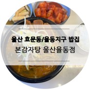 울산 효문동/율동지구 밥집 본감자탕 울산율동점