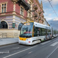 동유럽여행 체코 프라하 교통수단 트램