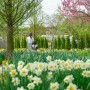 백설농부 봄꽃 정원이 아름다운 예산 가볼만한곳