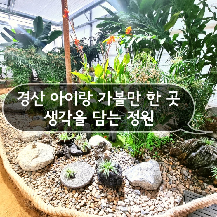 경산 아이랑 가볼만한 곳 무료 식물원 '생각을 담는 정원'