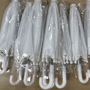청백적 미니 우산 만들기 💙🤍❤️수원 삼성 블루윙즈!