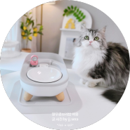 강아지 식기 추천 - 쿨기능 있는 퓨어나인 고양이 밥그릇 높이 조절도 가능해