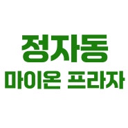 수원 정자동 마이온 프라자 상가 분양