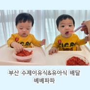 부산 남구 문현동 이유식 수제 이유식&유아식 배달 배송 베베파파