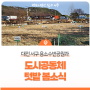 대전 서구 용소수변공원과 도시 공동체 텃밭 봄소식