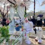2024 렛츠런파크 서울 벚꽃축제 벚꽃기자단 후기 (과천 경마공원)