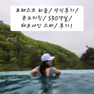 포레스트 리솜/ 석식후기/ 몬도키친/ S30객실/헤브나인 스파/후기1
