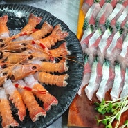 제주 성산 고등어회 맛집 :: 팔팔자연산회센타 고딱세트 (고등어회+딱새우회)