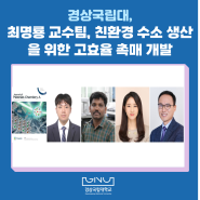 최명룡 교수팀, 친환경 수소 생산을 위한 고효율 촉매 개발