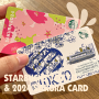 일본 도쿄 스타벅스 카드 & 2024 사쿠라 카드 수집♥