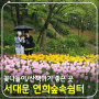 서울 봄/여름 꽃 나들이 산책하기 좋은 곳 서대문 안산 연희 숲속 쉼터(허브원, 안산 방죽) 가는 길