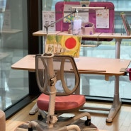 초등학생 책상 세트 추천 니스툴그로우 높이조절 가능한 유아 어린이 책상