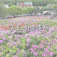 군포 철쭉축제 4월 철쭉동산 개화 봄 데이트코스 경기도 꽃축제 근황