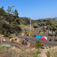 군산 관리도캠핑장 사이트별 리뷰 가격 예약방법