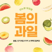 당감동 과일맛집 더노랑에서 알려드리는 봄철 제철과일 5가지!