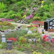영흥수목원의 봄