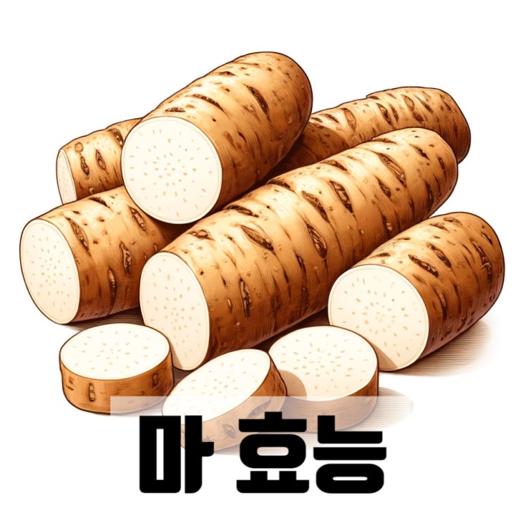 마효능 8가지와 마 부작용, 섭취방법, 보관방법 총정리 : 네이버 블로그