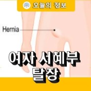 여자 서혜부 탈장 증상과 치료 수술 후유증