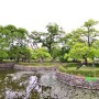 광양 가볼만한 곳 유당공원의 천연기념물 이팝나무 꽃이 피는 중
