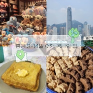 [홍콩] 홍콩 3박4일 여행 팁(총 경비, 4월 날씨, 물가, 클룩, 옥토퍼스 카드, LG U+ 로밍 등)