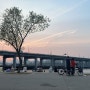 [Daily] 반포 한강공원 피크닉 장소 배달존 위치 무지개분수