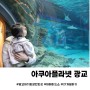 광교 아쿠아플라넷 21개월 아기랑 인어공주 무료공연시간